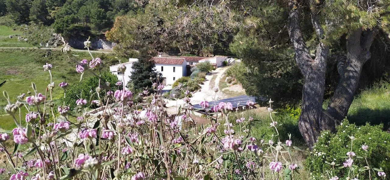 Finca Las Morenas Юнкера 0*,