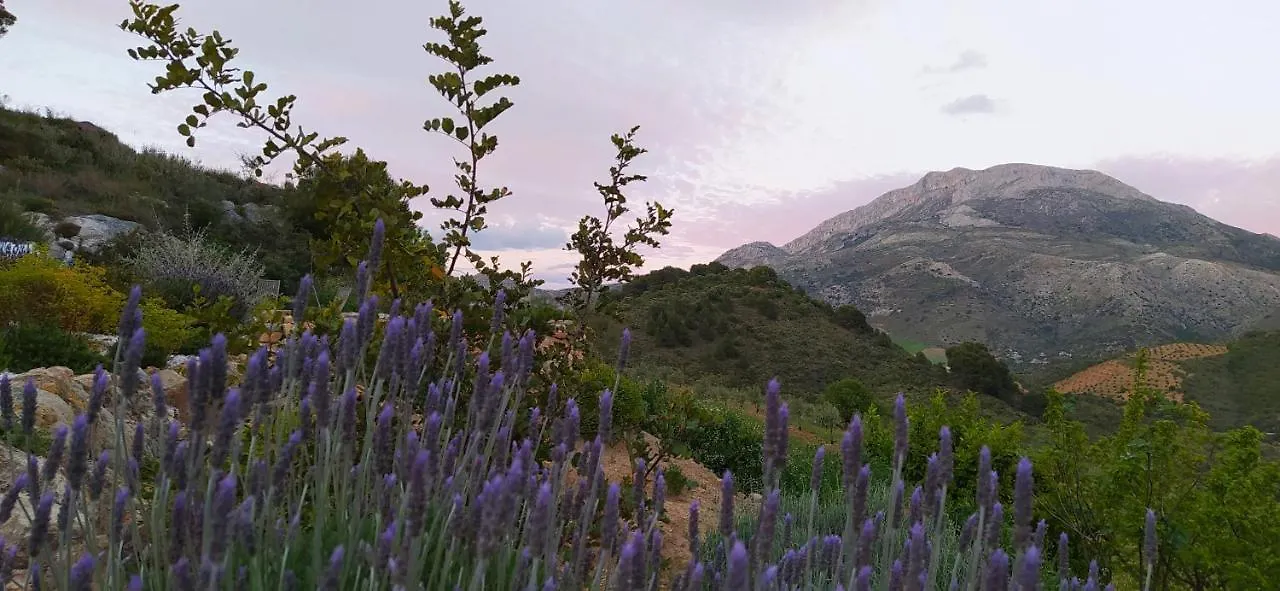 Finca Las Morenas Юнкера Летний дом