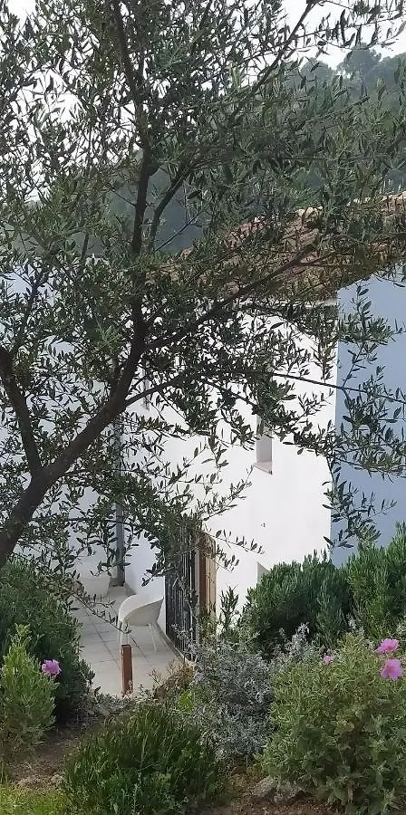Finca Las Morenas Yunquera Spain