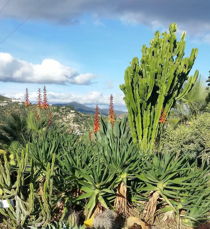 Country house Finca Las Morenas Yunquera Spain