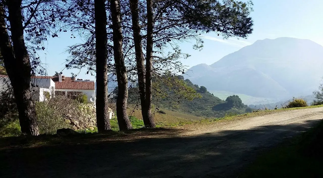 Finca Las Morenas Yunquera