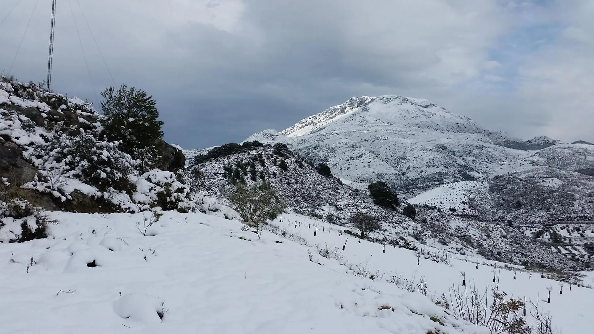 Finca Las Morenas Yunquera Spain